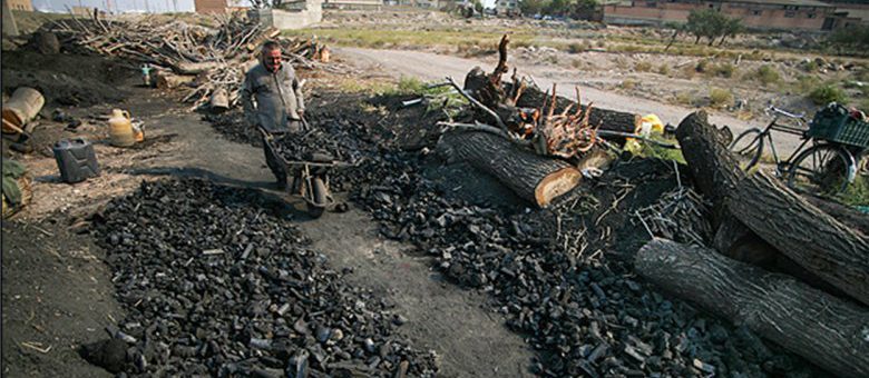 کشف و تخریب دو عدد کوره غیر مجاز زغال جنگلی در شهرستان کازرون