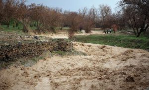 ۳۴۰ میلیارد ریال خسارت سیل به حوزه کشاورزی استان مرکزی اختصاص یافت