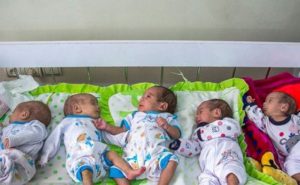 چتر حمایتی برای پنج قلوهای اراکی گسترده است