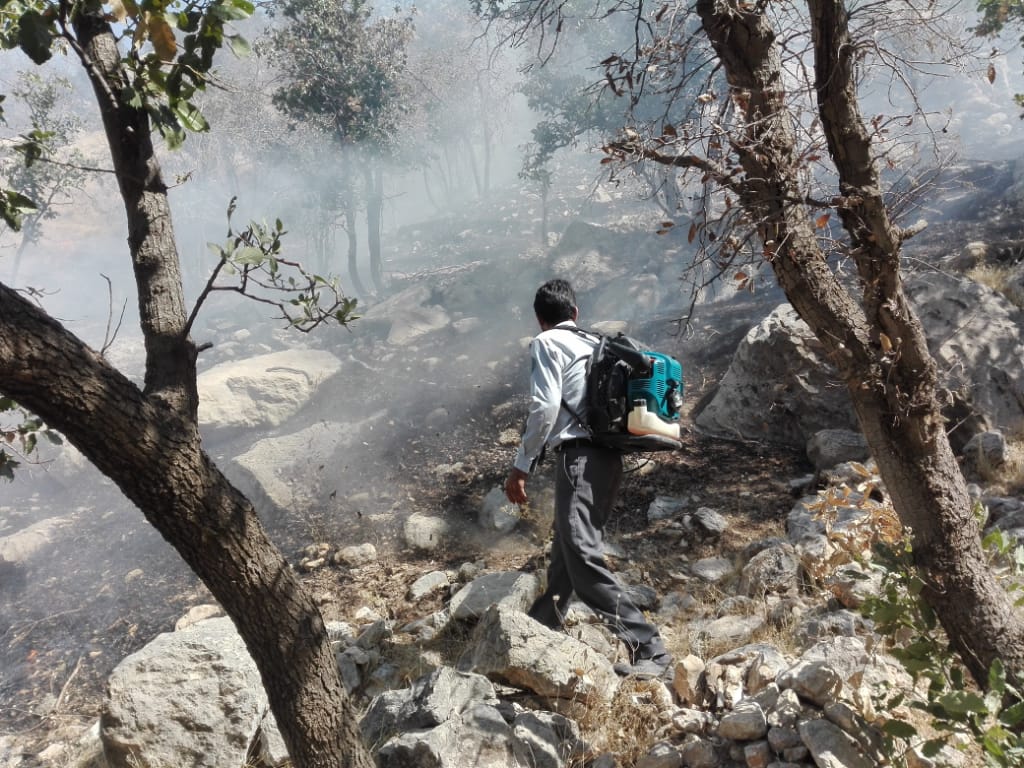 مهار کامل آتش در منطقه کوهستانی گردنه قلات شهرستان رستم