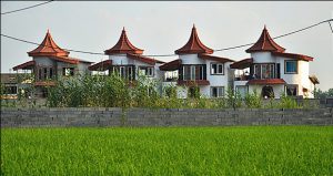 اولویت پیشگیری از تغییر کاربری اراضی کشاورزی به جای برخورد قهری