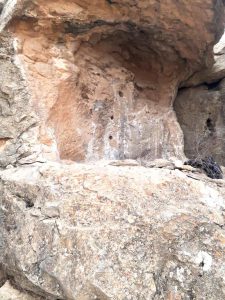 گوردخمه‌های لانه طاووس مرودشت آسیب ندیده است