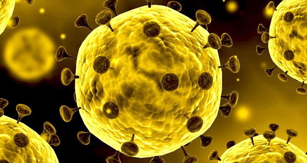 «پاد» گزارش می‌دهد؛ اقدامات دولت برای مهار ویروس کرونا