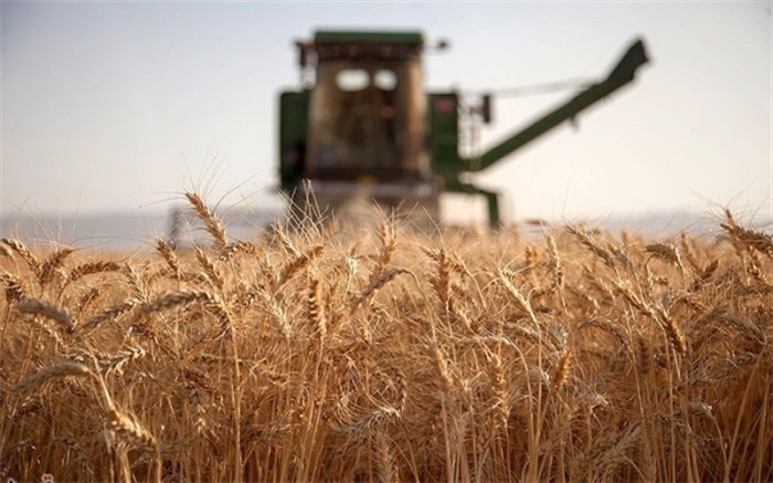 مثبت‌شدن تراز تجاری بخش کشاورزی در دوران تحریم
