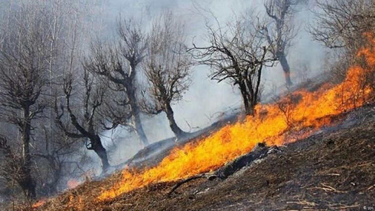 آتش‌سوزی گسترده در ارتفاعات اطراف شیراز/ تلاش نیروهای مردمی و امدادی برای مهار آتش