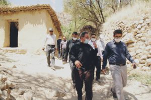 لزوم برندسازی انجیر مرغوب داراب