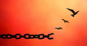 بانوی خیر تهرانی، زمینه آزادی دو زندانی را در شیراز فراهم کرد