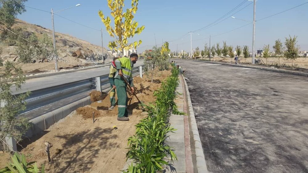 شعار سازمان زیبا منظر وفضای سبز شهرداری  ، هر شیرازی یک درخت