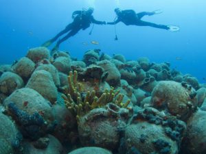 کاوش  میراث فرهنگی دریایی کشور در ‏حوضه‌های دریای خزر، خلیج فارس و دریای مکران