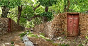 حفظ باغات قصردشت شیراز با مشارکت باغداران امکان‌پذیر است