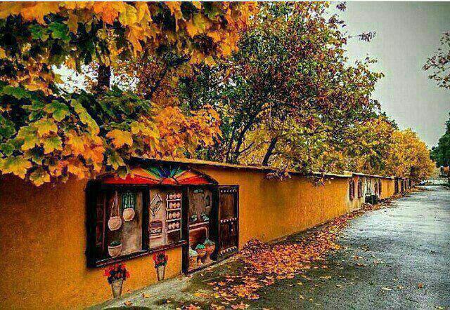 برای اولین بار در تاریخ شهرداری شیراز، احیای باغات قصردشت شیراز با کاشت درخت