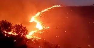 آتش سوزی ارتفاعات جنگلی شهرستان فیروزآباد سه قربانی گرفت