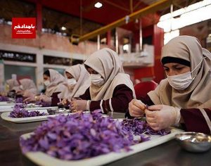 صندوق های خرد زنان کوار افزایش یافت