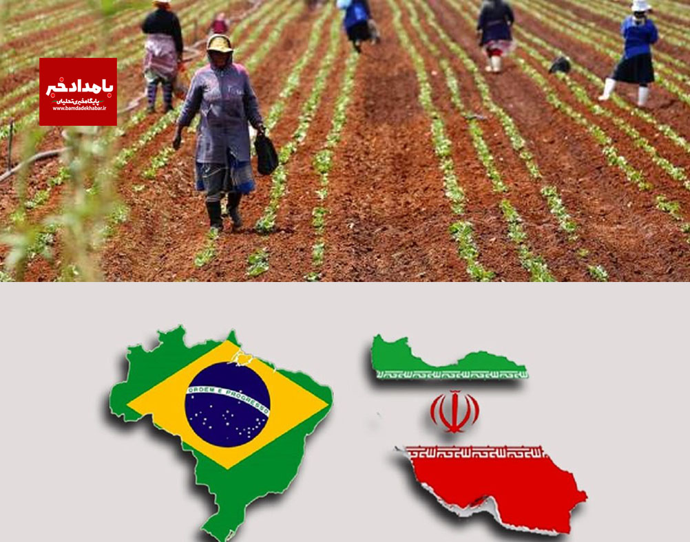 رونق اقتصادی و افزایش تراز تجاری ایران و برزیل در زمینه کشاورزی