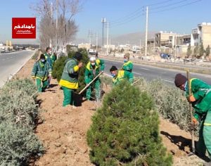  رشد بیش از ۴۰ درصدی عرصه فضای سبز شهری صدرا در یکسال و نیم گذشته