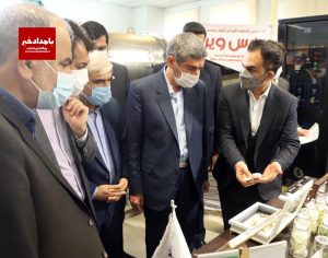 احیای کمیته اقتصاد دانش بنیان در استانداری فارس/ ارتباط بین نیازهای جامعه و توانمندی های شرکت های دانش بنیان مورد توجه قرار گیرد