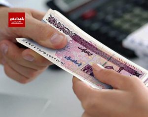 کشف کلاهبرداری ۱۳ میلیاردی در شیراز