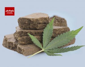 کشف ۹۷ کیلو حشیش در شیراز