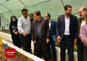 برگزاری اولین جلسه شورای راهبری مهارت آموزی و مشاوره شغلی زندان های فارس