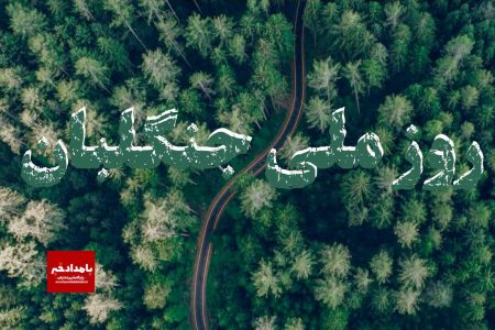 پیام سرپرست اداره کل منابع طبیعی وآبخیزداری استان فارس به مناسبت روز ملی جنگلبان