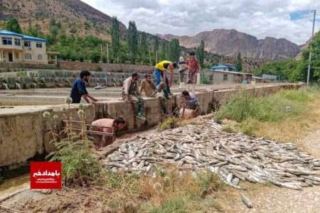 خسارت ۲۳۷ میلیارد ریالی سیل به ۱۳ مزرعه تکثیر و پرورش ماهی در استان فارس