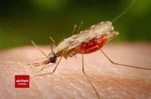 آمادگی میراث فرهنگی درصورت ورود دستگاه‌های متولی