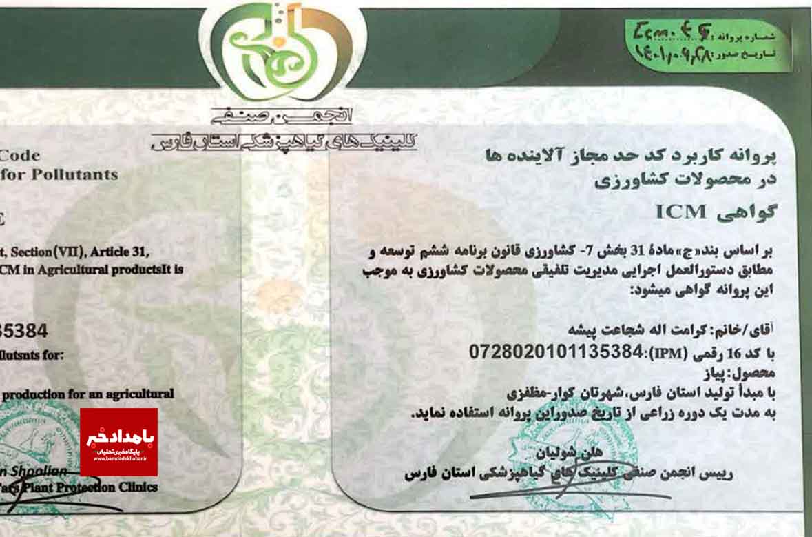 تولید بالغ بر ۳۶۷۵ تن محصول پیاز گواهی شده در کوار