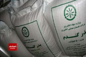 تاًمین وتوزیع بذورگواهی شده گندم در کوار