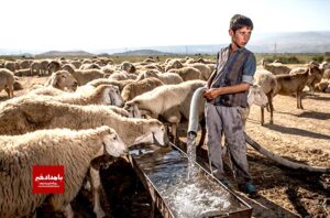 پلمپ انبار بزرگ ذخیره و توزیع نهاده های دامی در شهرستان مرودشت
