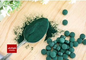 تولید۷۵۱ کیلوگرم پودر ریز جلبک اسپیرولینا در استان فارس