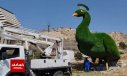نصب المان جدید طاووس در شیراز