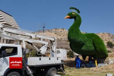 نصب المان جدید طاووس در شیراز