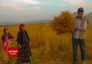 راه اندازی روستا بازار ها در راستای تحقق شعار از مزرعه تا سفره