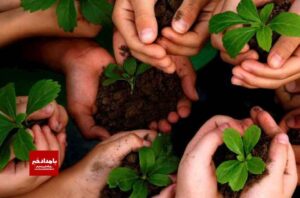 از منابع طبیعی تا دانشگاه‌ها؛ دستگاه‌ها و نهادها برای کاشت نهال همراه می شوند