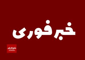 واژگونی مینی بوس در بلوار چمران شیراز یک کشته و ۹ مصدوم بجا گذاشت