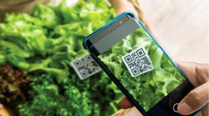 همایش ضرورت دریافت “QR-Code” در بیضا برگزار شد