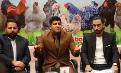 رشد چشمگیر تولیدکنندگان شرکت‌کننده در دومین جشنواره ماکیان زینتی ایران در شیراز