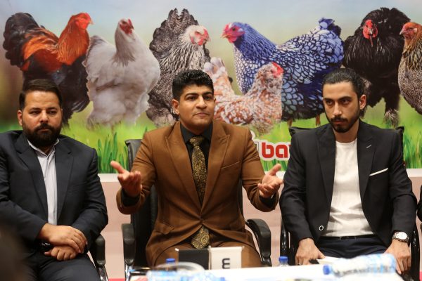رشد چشمگیر تولیدکنندگان شرکت‌کننده در دومین جشنواره ماکیان زینتی ایران در شیراز