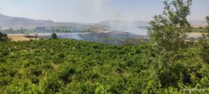 عابر بی احتیاط اراضی کشاورزی بیضا را به آتش کشید