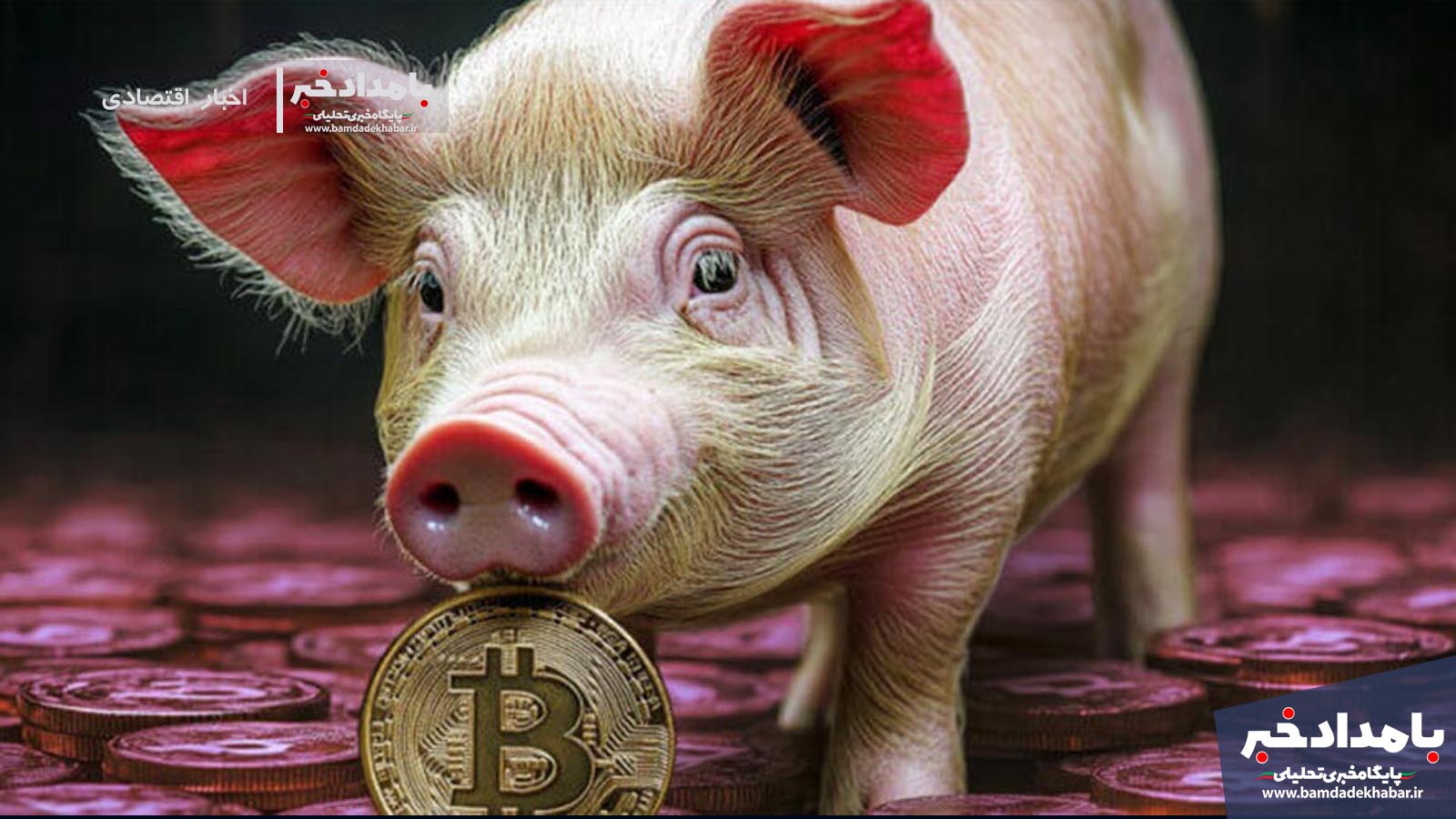 قصابی خوک کلاهبرداری جدید اینترنتی