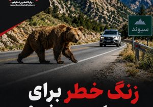 زنگ خطر برای حیات‌وحش؛تصادف مرگبار با خرس در بزرگراه شیراز-اصفهان