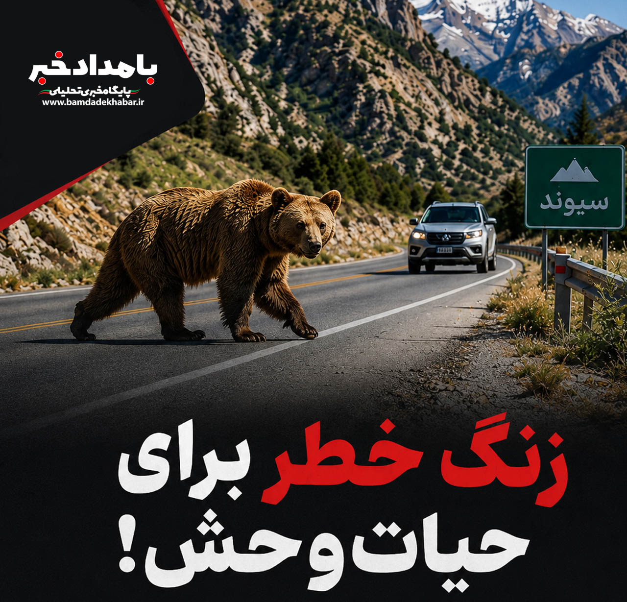 زنگ خطر برای حیات‌وحش؛تصادف مرگبار با خرس در بزرگراه شیراز-اصفهان